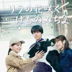 丁香花高清完整版中国版